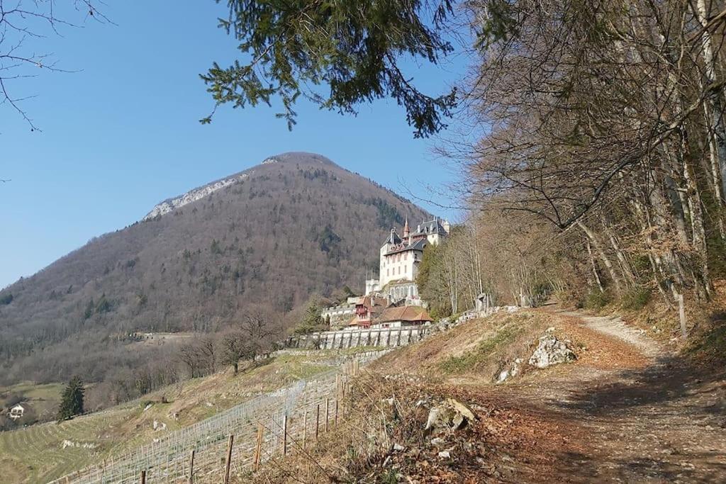 Charmant Appartement Lac D'Annecy / Ski - 6 Pers Menthon-Saint-Bernard Zewnętrze zdjęcie
